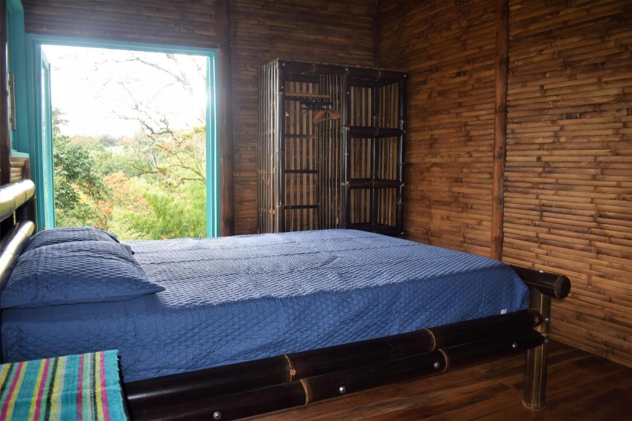 Casa De Bambu Villa Turrialba Eksteriør billede